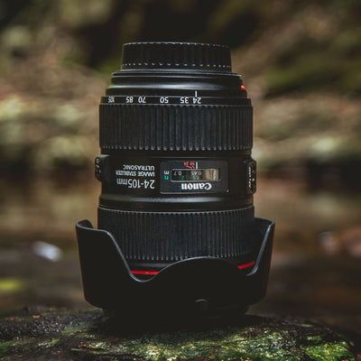 Versatility Redefined: The Canon EF 24-105mm f/4L IS II USM