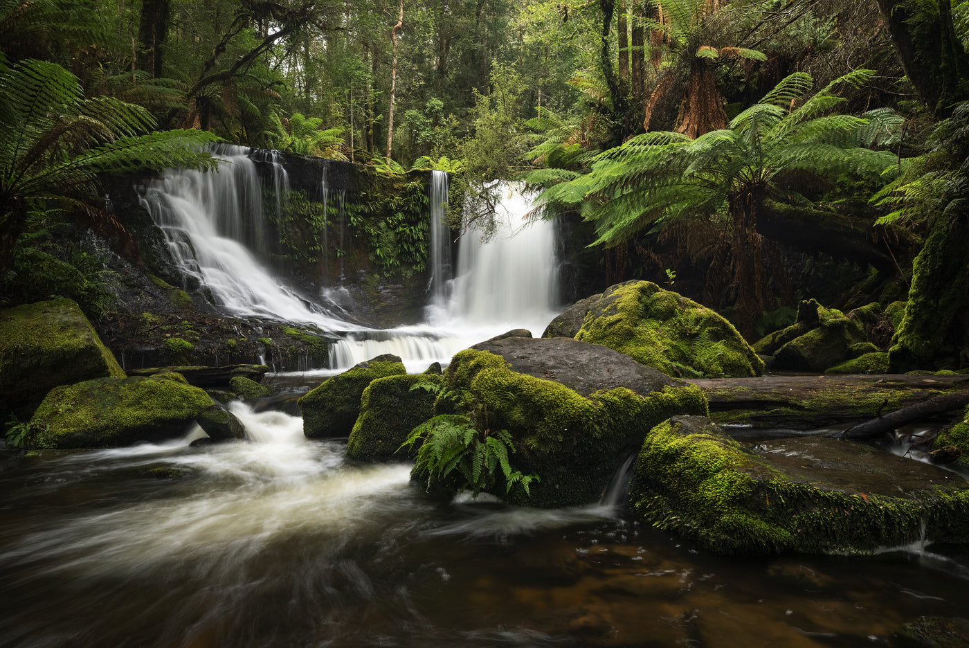 landscape photo of a Tasmanian waterfall with lush ferns and moss